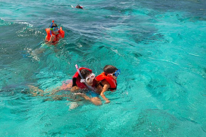 Full Day SoCoHo - Historic Sites - Mangrove Kayak & Reef Snorkeling - Mangrove Kayaking Experience
