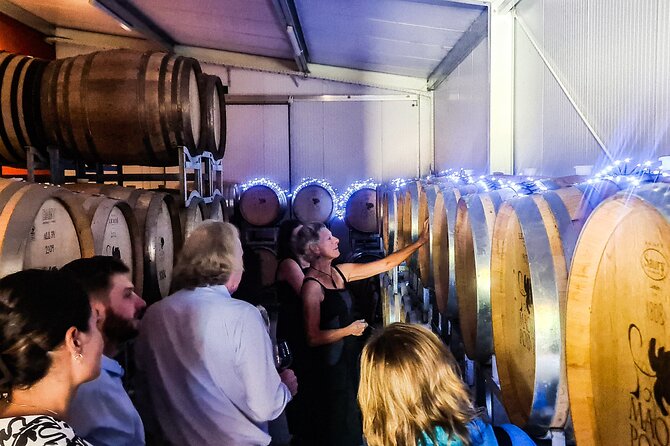 Full-Day Sommelier Guided Private Wine Tour of Central Otago - Winery Visits and Tastings