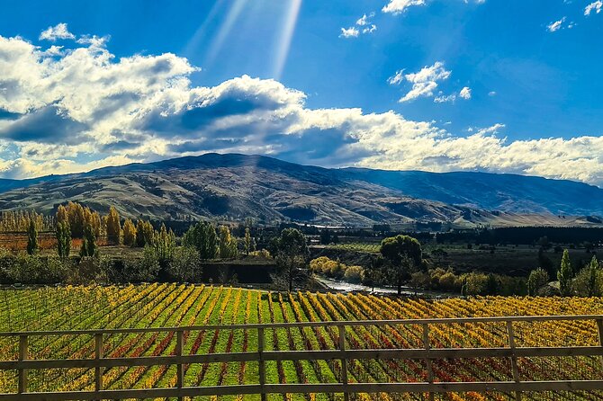 Full-Day Sommelier Guided Private Wine Tour of Central Otago - Indulgent Winery Lunch