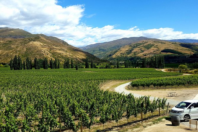 Full-Day Sommelier Guided Private Wine Tour of Central Otago - Transport and Hotel Pickup