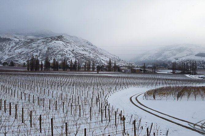 Full-Day Sommelier Guided Private Wine Tour of Central Otago - Expert Guide and Insights