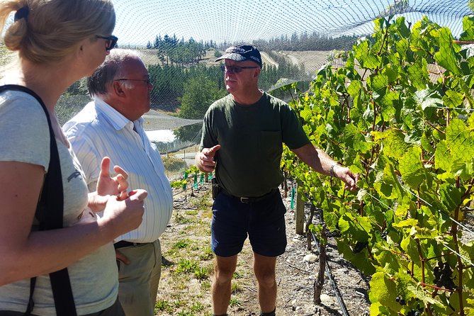 Full-Day Sommelier Guided Private Wine Tour of Central Otago - Customer Reviews and Ratings
