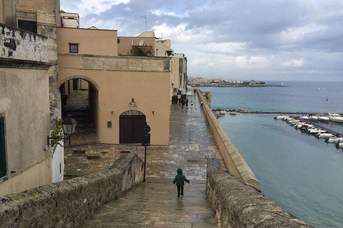 Full-Day Sorrento Positano Pompeii Tour - Scenic Drive Along Amalfi Coast