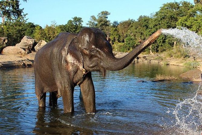 Full Day SOS Wildlife Sanctuary With Sunrise at Taj Mahal - Pricing and Booking