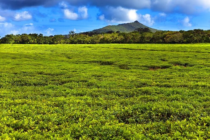 Full-Day South Tour of Mauritius, ALL INCLUSIVE Day Trip, Private SUV Car, Guide - Key Points