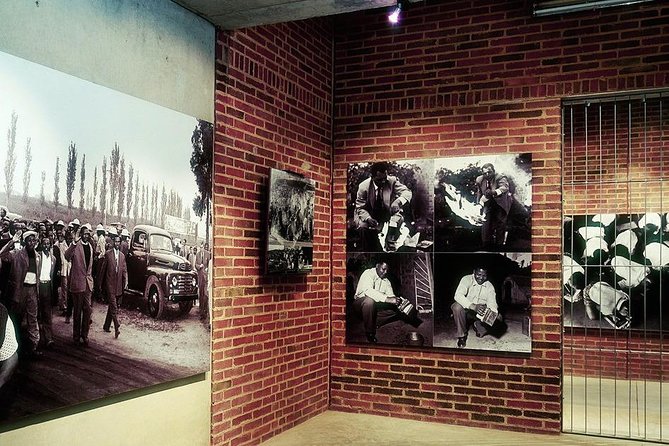 Full-Day Soweto, Apartheid Museum and Lunch Tour - Dietary Accommodations