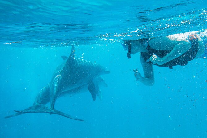 Full-Day Special Wasini Island Tour With Snorkeling and Lunch - Island Exploration