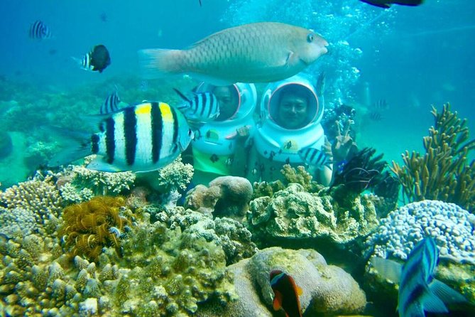 Full-Day Speedboat Guided Tour With Sea Walking Included Lunch And Entrance Fees - Sea Walking Experience