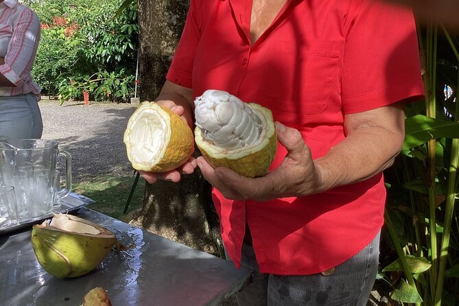 Full Day Spirit of the Maroons Cultural From Montego Bay - Inclusions and Pickup Information