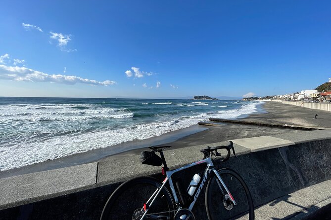 Full-Day Sport Cycle Rental - Pricing and Cancellation Policy