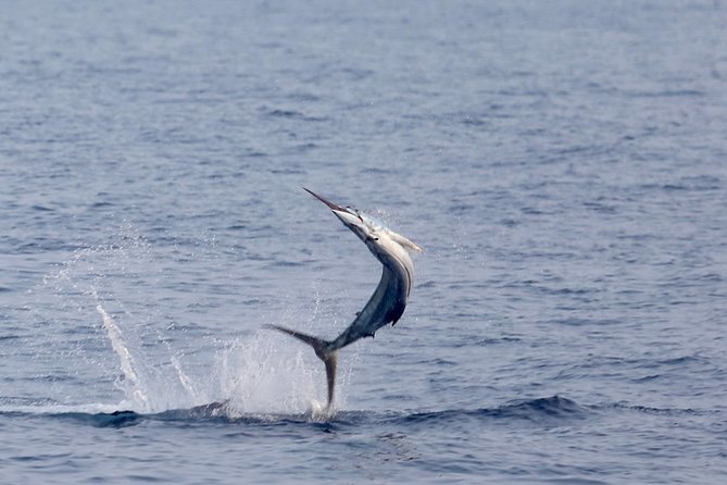 Full Day Sportsman/Enthusiast Charter - Meeting and Pickup Details