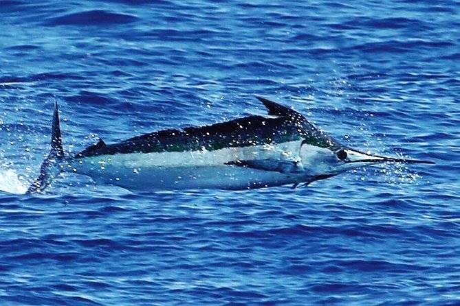 Full Day Sportsman/Enthusiast Charter - Suitability for All Anglers