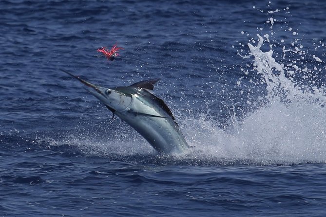 Full Day Sportsman/Enthusiast Charter - Cancellation Policy and Weather Considerations