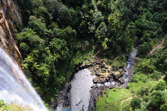 Full-Day Springbrook National Park Tour From the Gold Coast - Itinerary and Experience