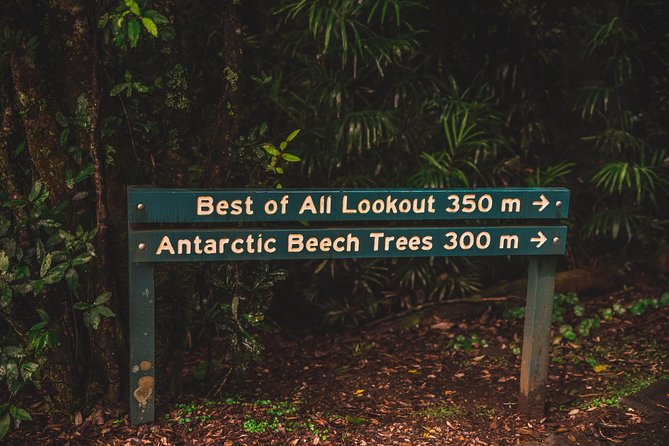 Full-Day Springbrook National Park Tour From the Gold Coast - Accessibility and Age Restrictions