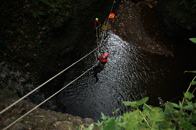 Full Day Springs Canyon Bali Canyoning Adventure - Inclusions