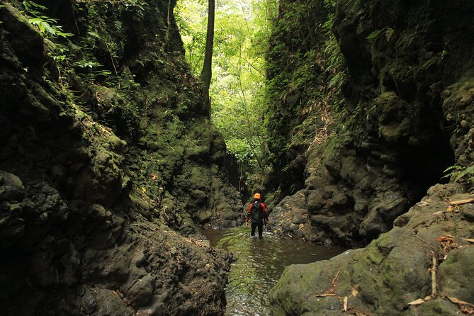 Full Day Springs Canyon Bali Canyoning Adventure - Requirements