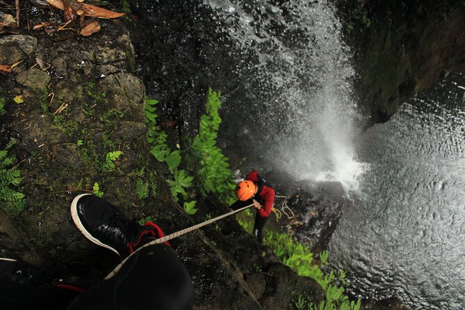 Full Day Springs Canyon Bali Canyoning Adventure - Pricing and Availability