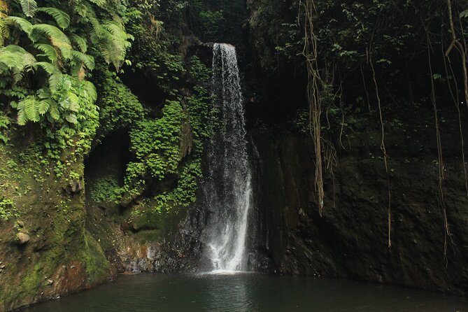 Full Day Springs Canyon Bali Canyoning Adventure - Experience Highlights