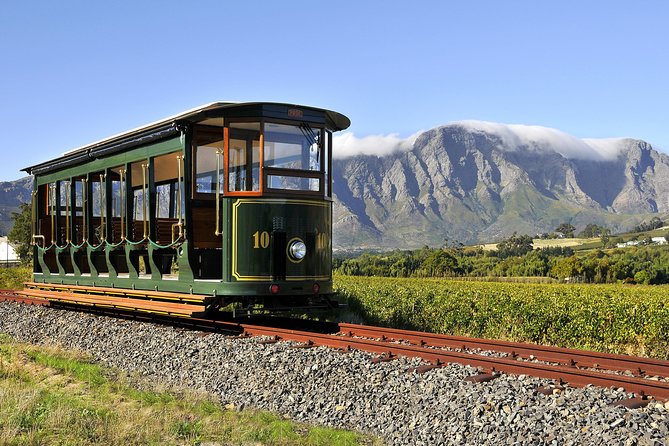 Full-Day Stellenbosch, Franschhoek and Paarl Wine Tasting Tour From Cape Town - Wine Tastings and Activities