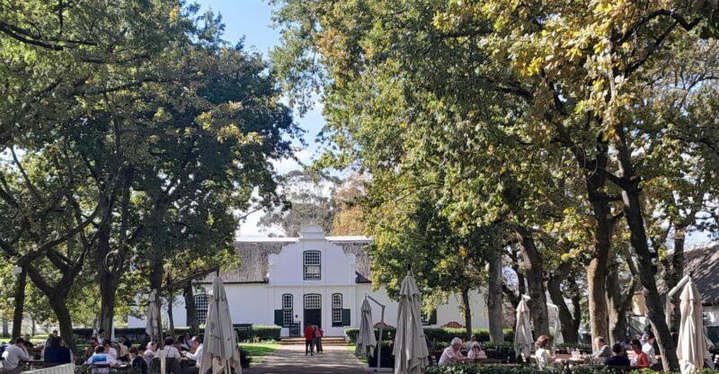 Full Day Stellenbosch Franschhoek Wine Testing Private Tour - Activities and Experiences