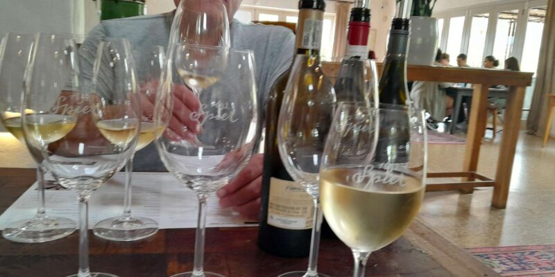 Full Day Stellenbosch Franschhoek Wine Testing Private Tour - Service and Commitment