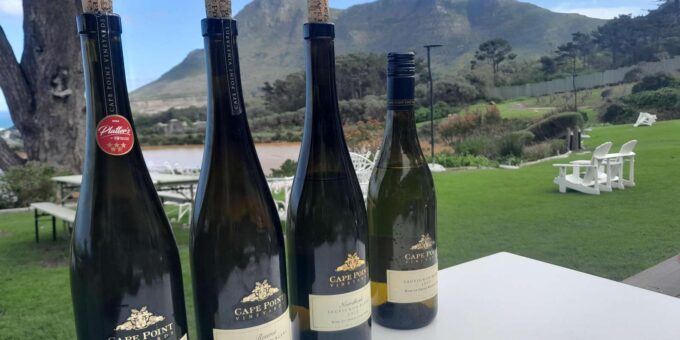 Full Day Stellenbosch Franschhoek Wine Testing Private Tour - Picturesque Franschhoek Valley