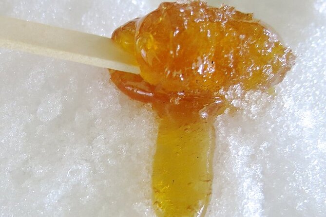 Full Day Sugar Shack Maple Syrup Tour in Trois-Rivières - Pickup and Arrival Information