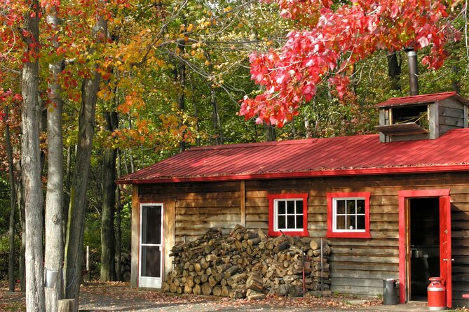 Full Day Sugar Shack Maple Syrup Tour in Trois-Rivières - Accessibility and Restrictions