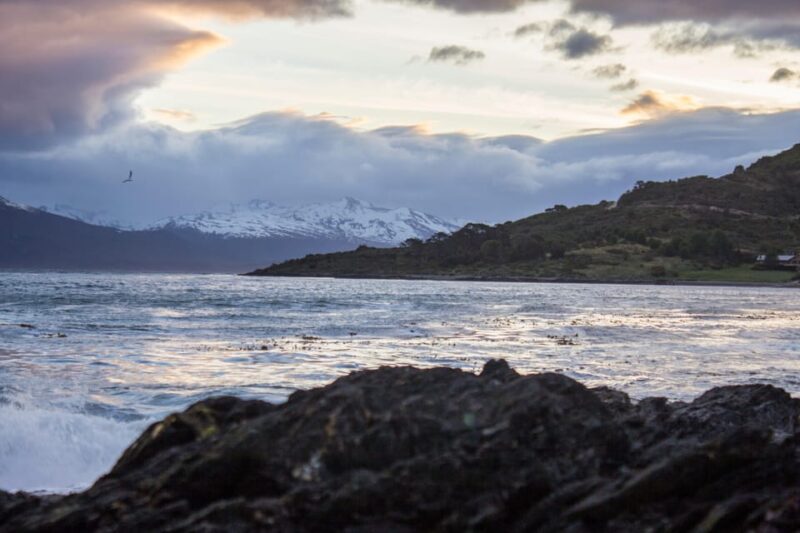 Full-Day Summer Tour in Ushuaia - Tour Overview