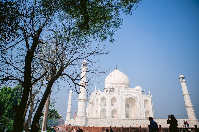 Full-Day Sunrise Taj Mahal Tour From Delhi by Car - Itinerary Highlights