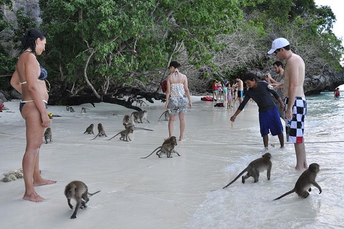 Full Day & Sunset Phi Phi Islands Tour From Phi Phi by Speedboat - Cancellation and Reviews
