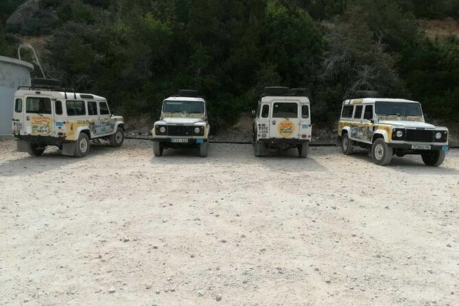 Full-Day Surf and Turf Safari Tour in Paphos - Traveler Feedback