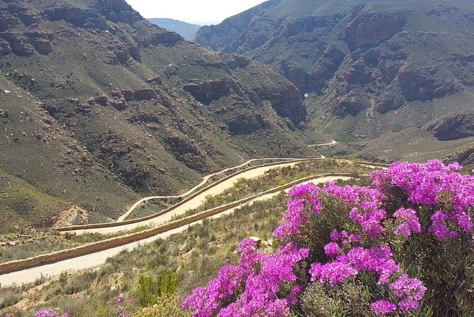 Full-Day Swartberg Mountain PRIVATE Tour (Including Lunch and Transfers) - Booking Information