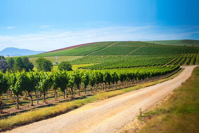 Full Day Tamar Valley Wine Tour - Reviews and Experiences
