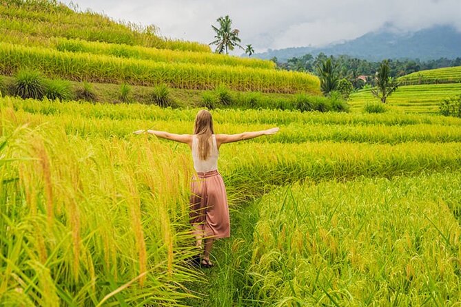 Full Day Tanah Lot Tour Visiting Most Favorite Place in West Bali - Tour Overview and Details