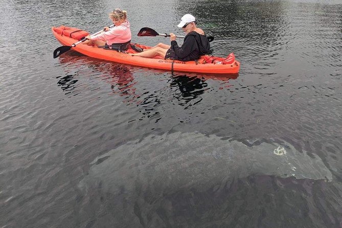 Full Day Tandem Kayak Rental For Two People In Crystal River, Florida - Tandem Kayak Rental Details