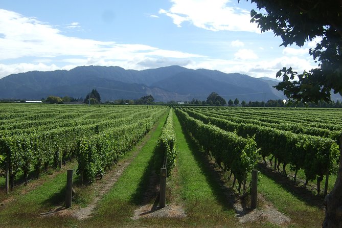Full-Day Taste the Wines of Marlborough Tour - Dining Options
