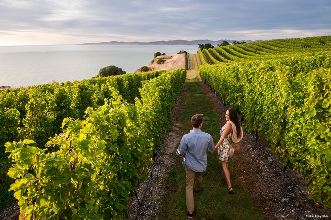 Full-Day Taste the Wines of Marlborough Tour - Important Details