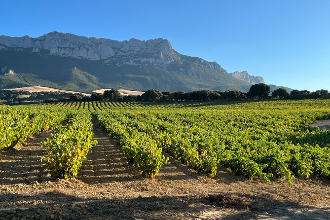 Full Day Tasting The Unknown Rioja Wine Region - Meeting and Pickup