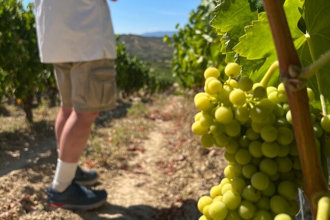 Full Day Tasting The Unknown Rioja Wine Region - Renowned Wineries