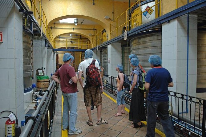 Full-Day Tequila, Jalisco From Puerto Vallarta With Tequila Experience - Tequila Tasting Experience