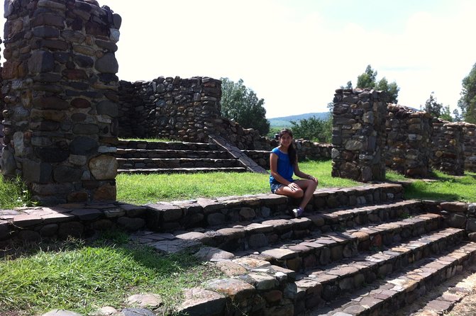 Full-Day Tequila, Jalisco From Puerto Vallarta With Tequila Experience - Highlights of the Tour