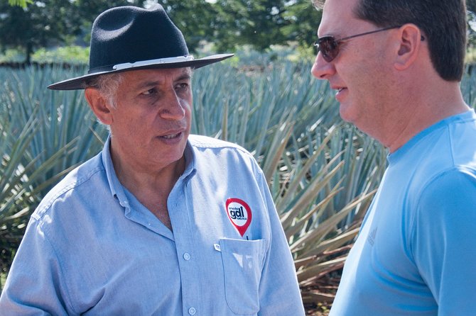 Full-Day Tequila Tour From Guadalajara - Highlights of the Tour