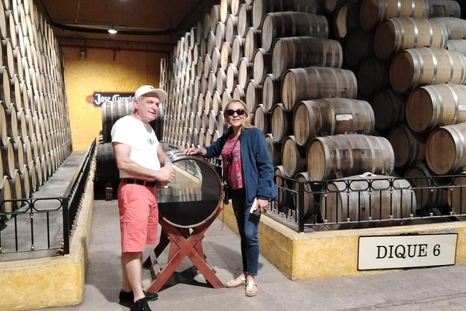 Full-Day Tequila Tour From Guadalajara - Jose Cuervo Distillery Tour