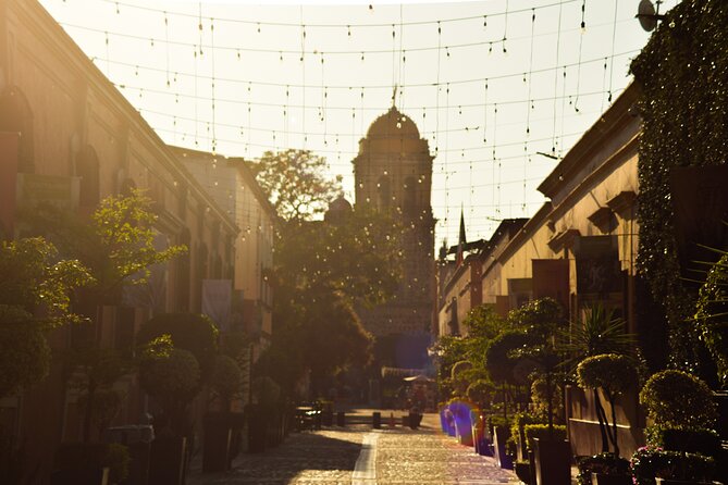 Full-Day Tequila Tour From Guadalajara - Tasting Different Tequila Varieties