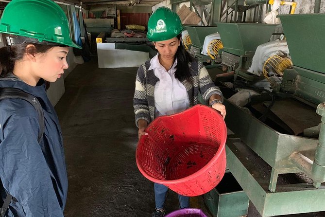 Full Day, the Aquiares Way - Complete Coffee Tour - Tour Overview