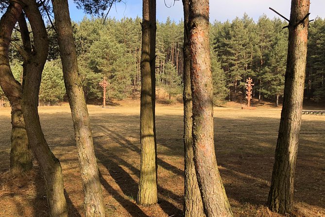 Full-Day the Hill of Crosses Tour From Vilnius - Guided Tour Experience