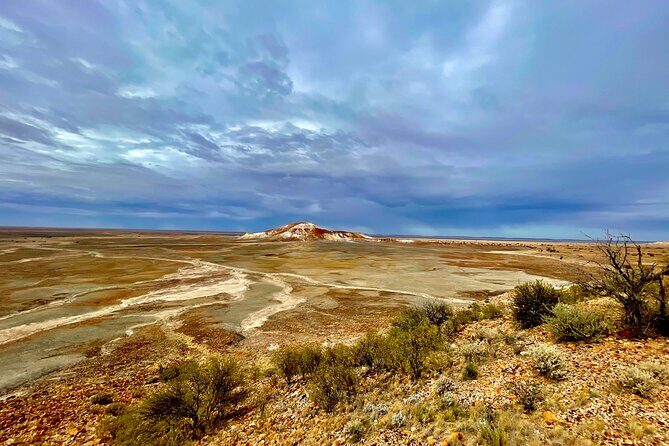 Full day The Painted Desert Tour in Outback South Australia - Key Points