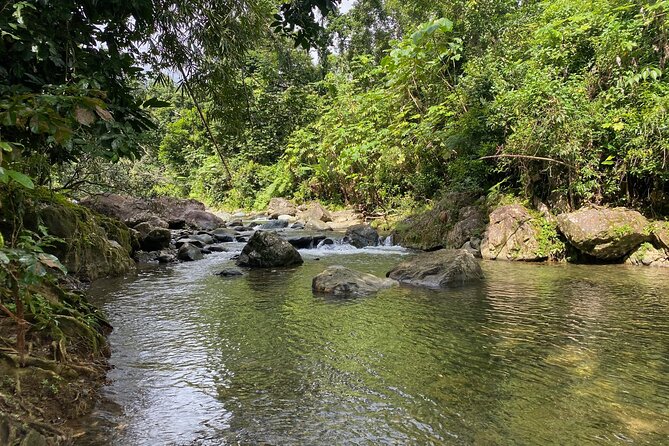 Full-Day Tinajas Hiking to El Yunque Rainforest With Transport - Whats Included in the Tour